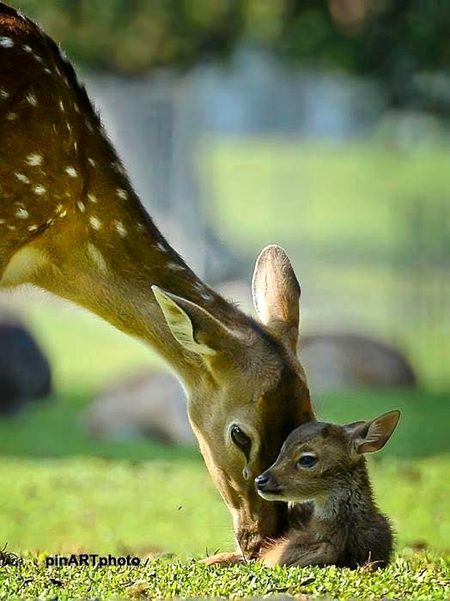 Beautiful Nature image