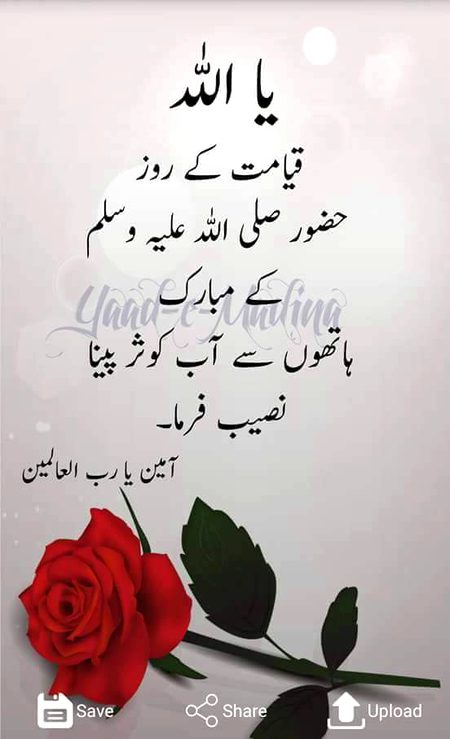 AAMEEM