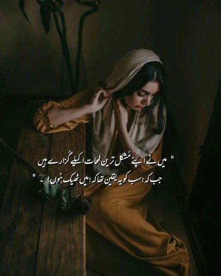 ✨🌹🌷🪷🦋🌞...