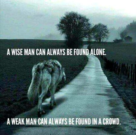 Motivational Quotes image