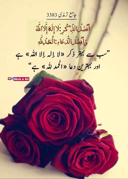 Islamic Quotes image
