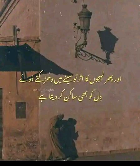 بے وفاہی کی سب کتابوں میں
تیرے جیسی کوئی مثال نہیں ...