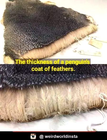 Interesting Posts image