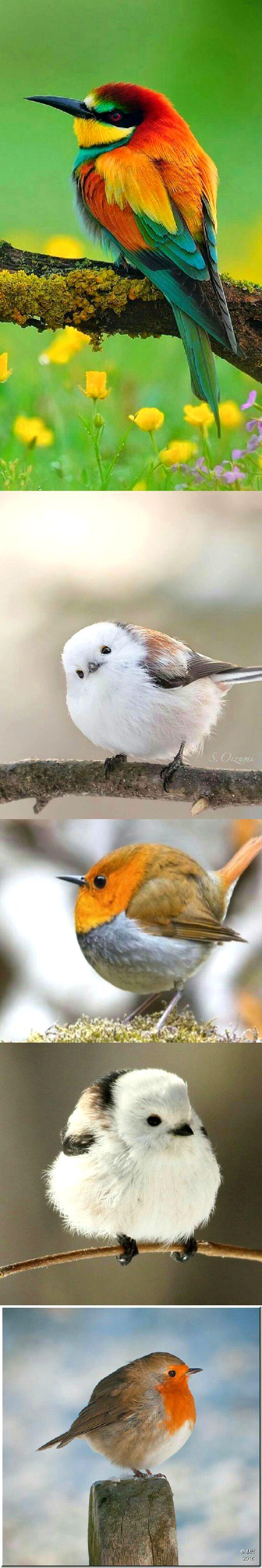 Beautiful Nature image