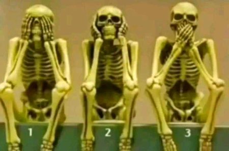 اس تصویر میں 2 لڑکے اور ایک لڑکی کا ڈھانچہ ہے۔۔ 
بتاؤ کونسے والی لڑکی ہے
🙄🙄🙄🙄🙄