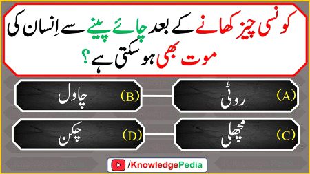 Knowledge Test image