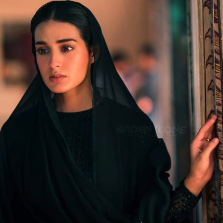 Pakistani Celebs image