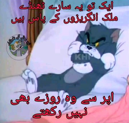 Memes & Satire image