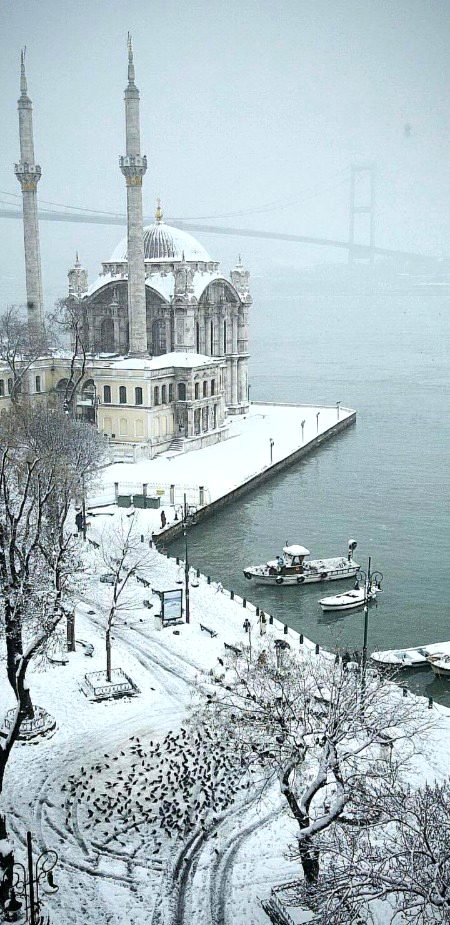 Beautiful Structures image