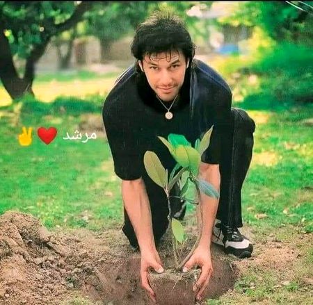 Pakistani Celebs image
