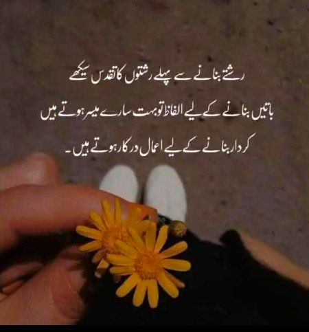 Attitude Quotes image