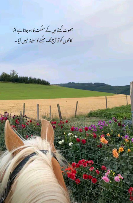 Beautiful Nature image