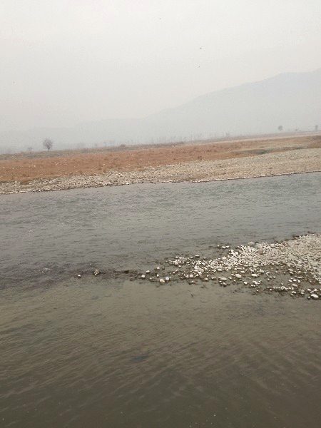 Beautiful Nature image