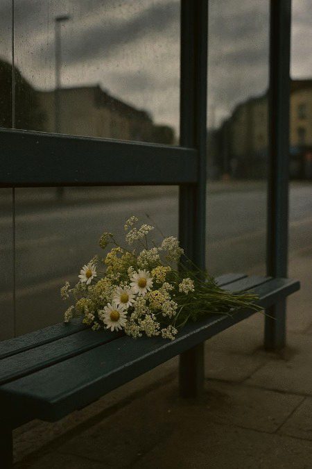 Beautiful Nature image