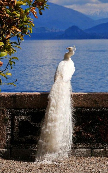 Beautiful Nature image
