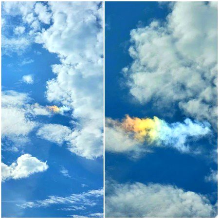 Beautiful Nature image