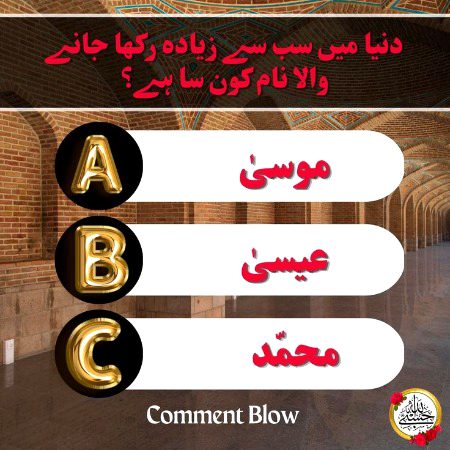 Knowledge Test image