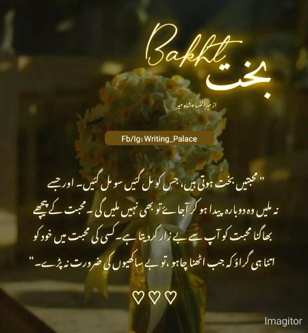 Romantic Novels image