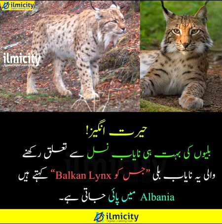 Interesting Posts image