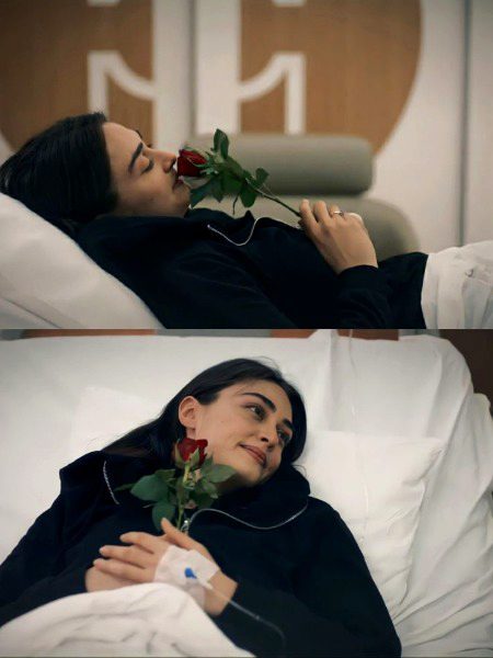 Turkish Celebs image