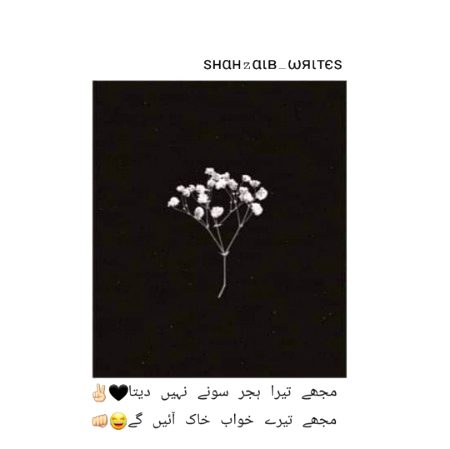 ѕнαнzαιв, Näwåb