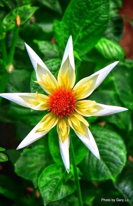 Beautiful Nature image