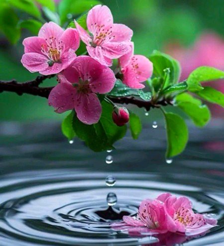 اُس کے چہرے کی تمازت سے پگھلتے تھے حروف.g2
جیسے کُہسار پہ کِرنوں کے قبیلے اُترے.g2
جیسے گُھل جائے خیالوں میں حنا کا موسم.g2
جیسے خوشبو کی طرح رنگ نشیلے اُترے!.g2.g2.g2