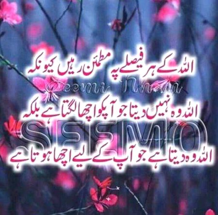 Beshak❤️