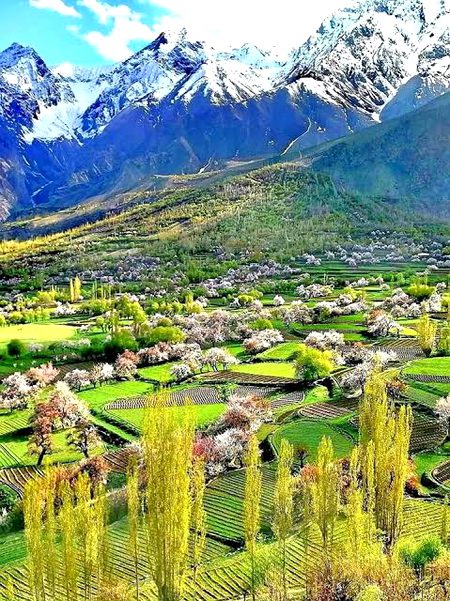 Beautiful Nature image
