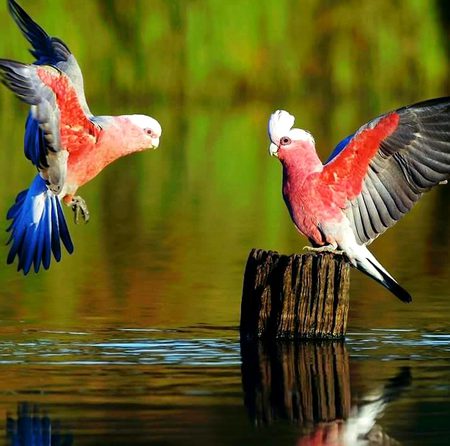 Beautiful Nature image