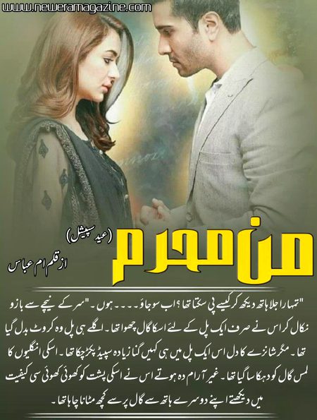 Romantic Novels image
