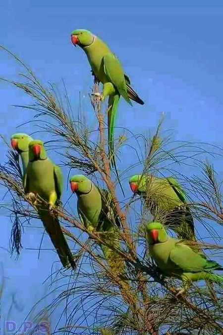 Beautiful Nature image