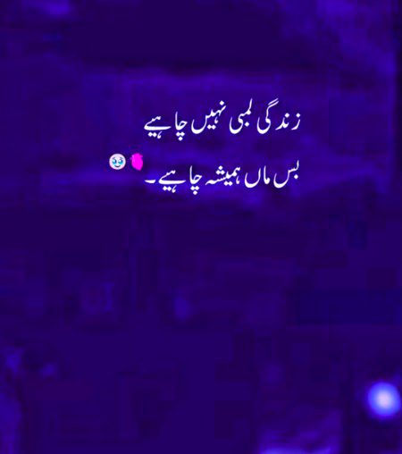 🖤🖤🖤🖤🖤🖤