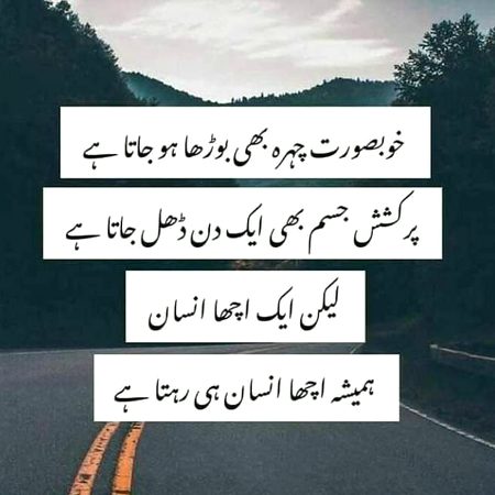 🖤💜❤️🖤💜❤️🖤💜❤️