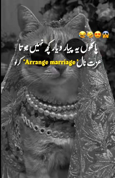 Memes & Satire image