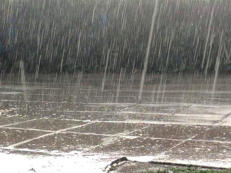 Happy Rain ☔