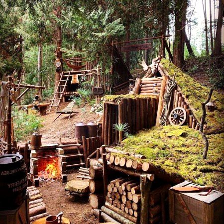 Beautiful Nature image