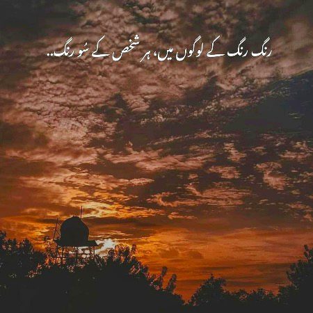 ……..💯……..