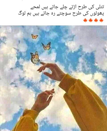 ❤💚💜❤💚💜