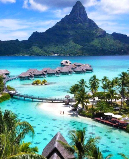 Beautiful Nature image