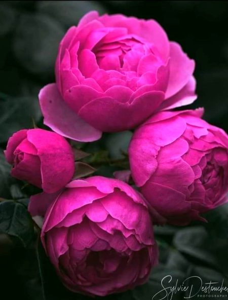 Beautiful Nature image