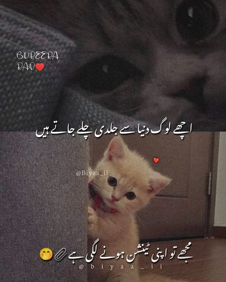 Jokes image