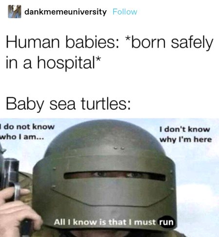 Memes & Satire image