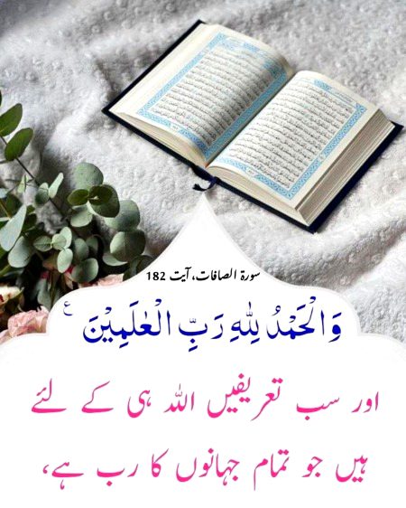 Beshak 🌺🌺