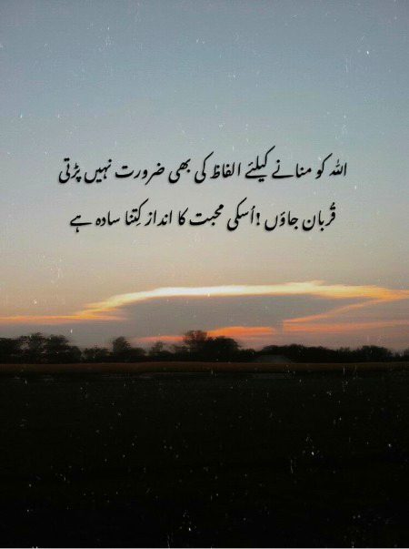Beshaq 💯✍🏻📚