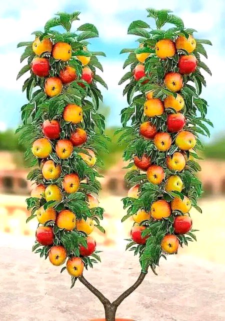 Beautiful Nature image