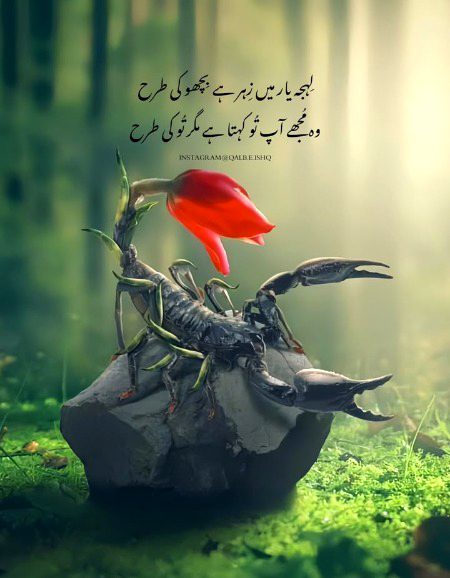 Attitude Poetry image