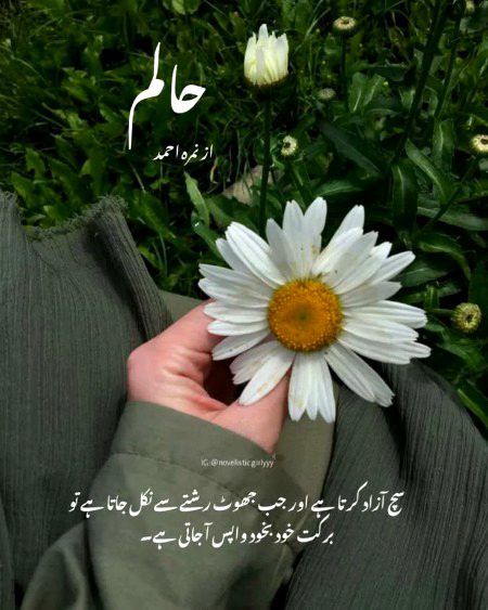 Motivational Quotes image