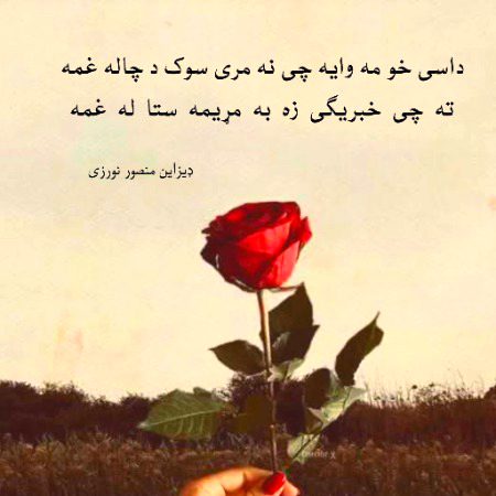 داس خو مه وایه چی نه مری سوک د چاله غمه
ته چی خبریگی زه به مړیمه ستا له غمه
🖤