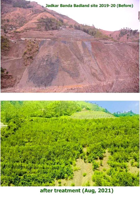 Beautiful Nature image